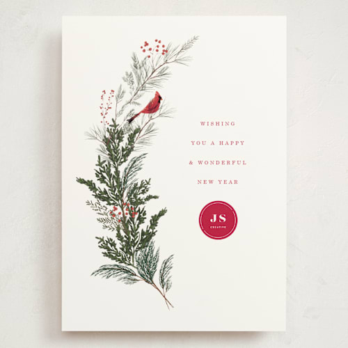 This is a holly berry holiday photo cards with standard by Baumbirdy called cardinal printing on signature in grand