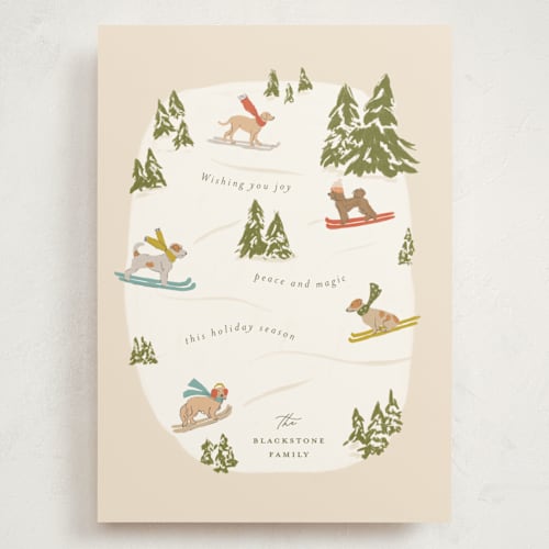 This is a almond holiday photo cards with standard by Vera Lim called snow dogs printing on signature in grand