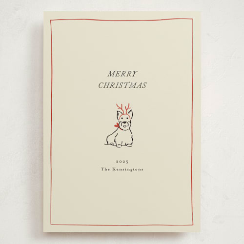 This is a poinsettia holiday photo cards with standard by Becky Nimoy called scottie dog printing on signature in grand