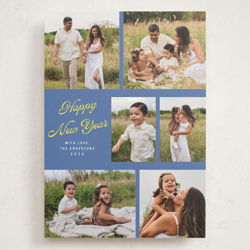 This is a blue jay holiday photo cards with standard by Cass Loh called playful pop printing on signature in grand