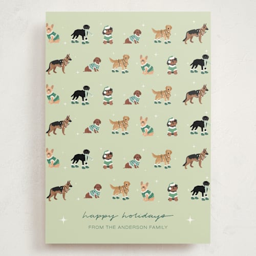 This is a sage holiday photo cards with standard by tara berg called holiday dogs printing on signature in grand