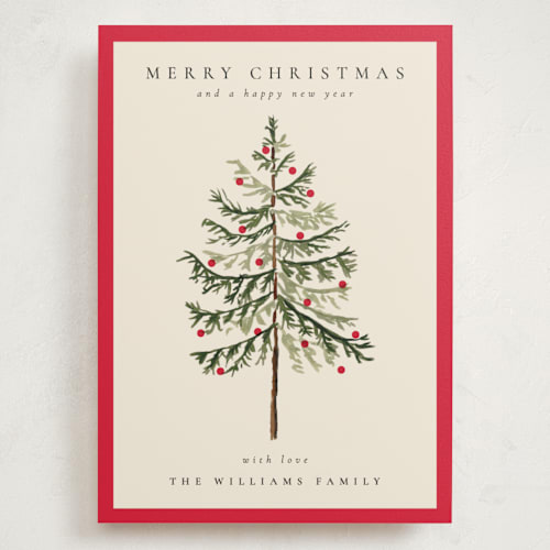 This is a poinsettia holiday photo cards with standard by Amy Kross called vintage spruce printing on signature in grand