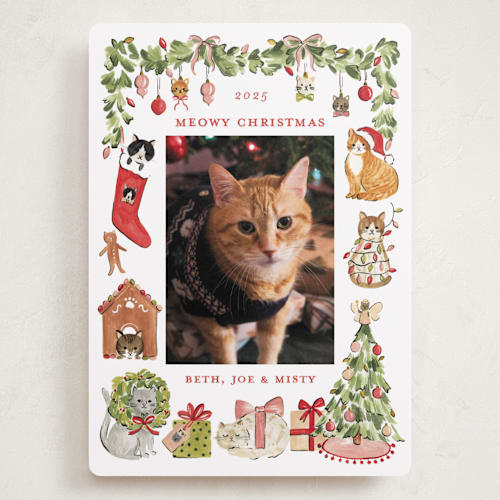 This is a pine holiday photo cards with standard by Sarah Knight called meowy christmas printing on recycled smooth signature in grand
