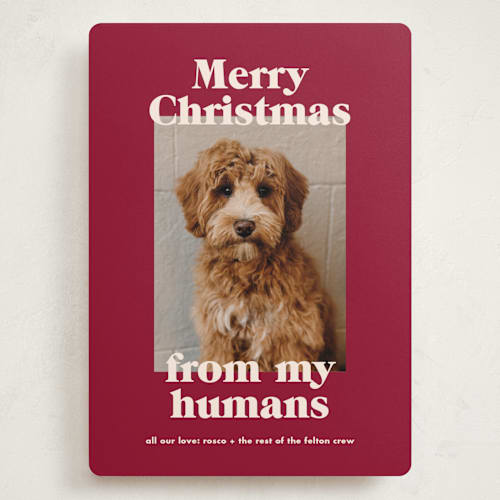 This is a pomegranate holiday photo cards with standard by Annie Clark called happy howlidays printing on recycled smooth signature in grand