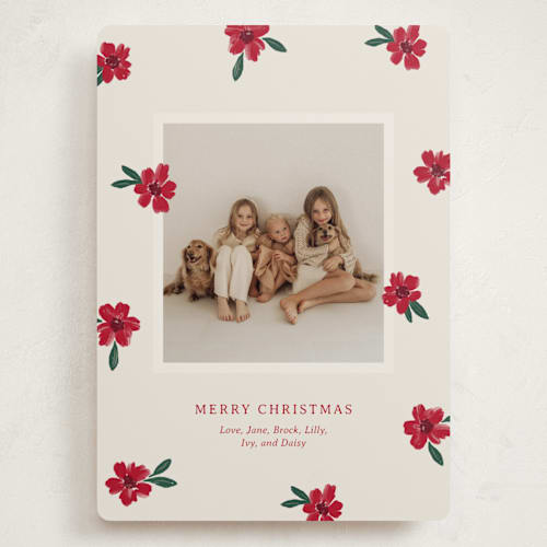 This is a poinsettia holiday photo cards with standard by Kercia Jane called painted petals printing on recycled smooth signature in grand