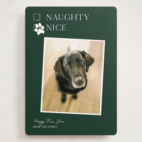 This is a forest holiday photo cards with standard by Kat Roberts called nice pup printing on recycled smooth signature in grand