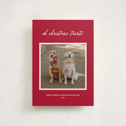 This is a red chew toy petite holiday cards with standard by Sarah Hawkins Designs called christmas treats printing on recycled smooth signature in petite