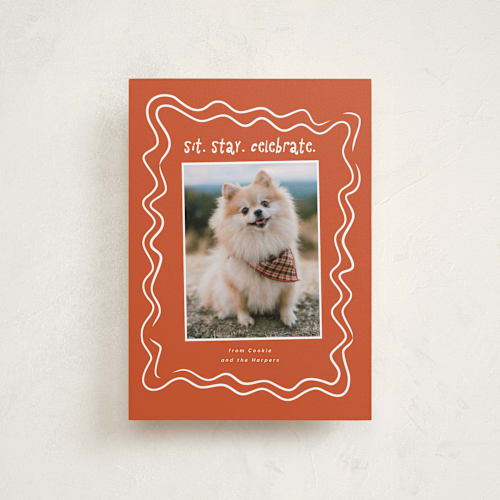 This is a holly petite holiday cards with standard by Vera Lim called wiggly lines printing on recycled smooth signature in petite