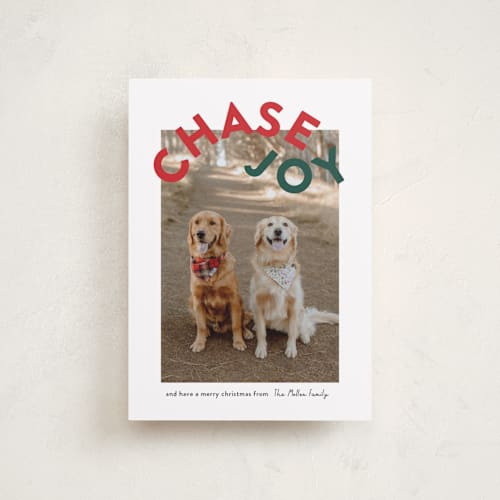 This is a holly petite holiday cards with standard by Angela Garrick called chase joy printing on recycled smooth signature in petite