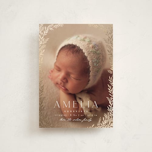 This is a vanilla birth announcement postcards with foil pressed by Laura Hankins called botanica frame printing on signature in postcard