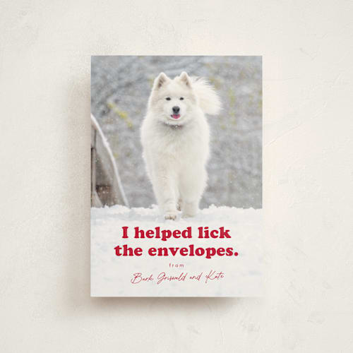 This is a chewed stocking christmas postcards with standard by Hudson meet Rose called helping printing on signature in postcard