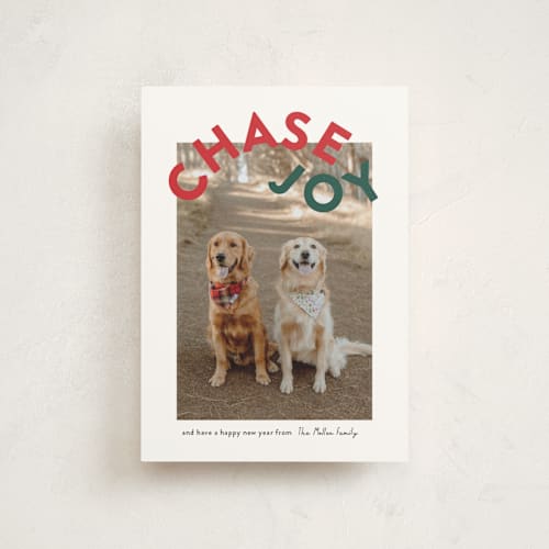 This is a holly christmas postcards with standard by Angela Garrick called chase joy printing on signature in postcard