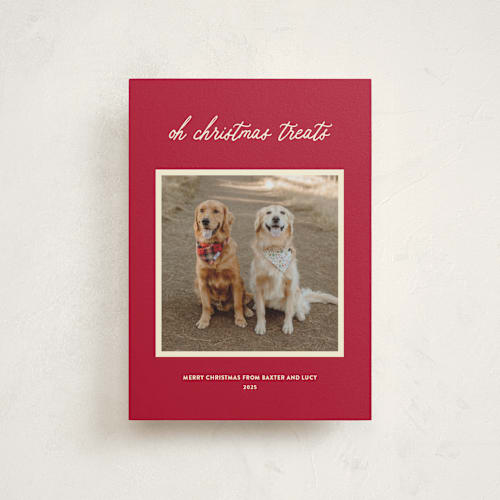 This is a red chew toy christmas postcards with standard by Sarah Hawkins Designs called christmas treats printing on signature in postcard