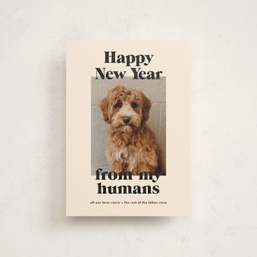 This is a sugar cookies christmas postcards with standard by Annie Clark called happy howlidays printing on signature in postcard