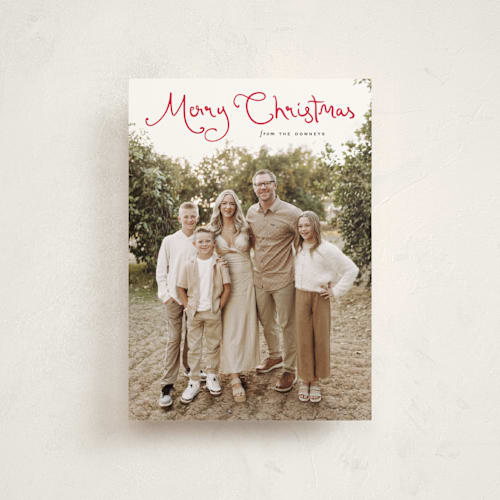 This is a cardinal christmas postcards with standard by Sara Hicks Malone called christmas script printing on signature in postcard