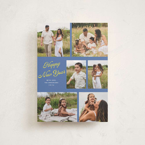 This is a blue jay christmas postcards with standard by Cass Loh called playful pop printing on signature in postcard