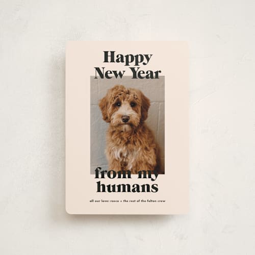 This is a sugar cookies petite holiday cards with standard by Annie Clark called happy howlidays printing on recycled smooth signature in petite