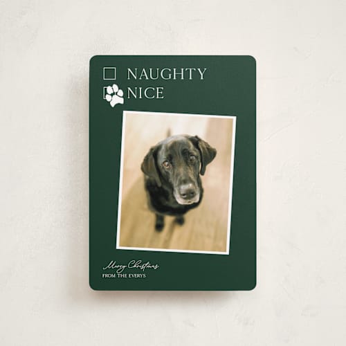 This is a forest petite holiday cards with standard by Kat Roberts called nice pup printing on recycled smooth signature in petite