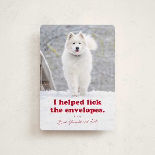 This is a chewed stocking petite holiday cards with standard by Hudson meet Rose called helping printing on recycled smooth signature in petite