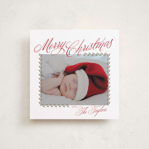 This is a amaryllis holiday photo cards with standard by Alston Foster called merry classic printing on recycled smooth signature in square