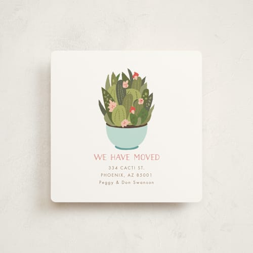 This is a robin's egg moving announcements with standard by Nazia Hyder called succulent teacup printing on signature in standard