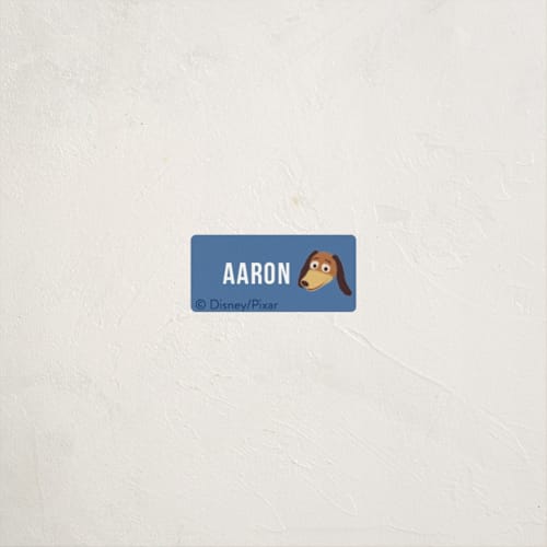 This is a sky name labels with standard by Dani Lugato called toys printing on waterproof sticker paper in sticker