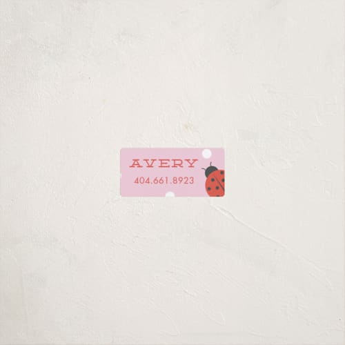This is a bubblegum name labels with standard by Stacey Meacham called ladybug name printing on waterproof sticker paper in sticker