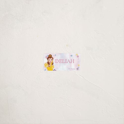 This is a cotton candy name labels with standard by Cass Loh called disney's princess portrait printing on waterproof sticker paper in sticker