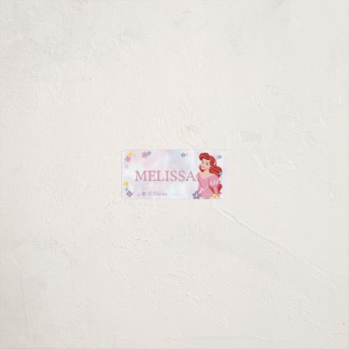 This is a cotton candy name labels with standard by Cass Loh called disney's princess portrait printing on waterproof sticker paper in sticker