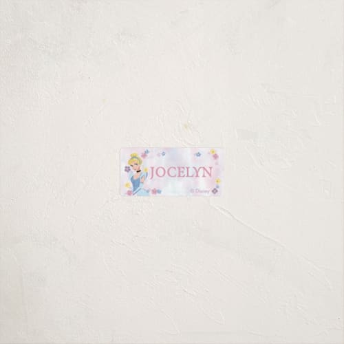 This is a cotton candy name labels with standard by Cass Loh called disney's princess portrait printing on waterproof sticker paper in sticker