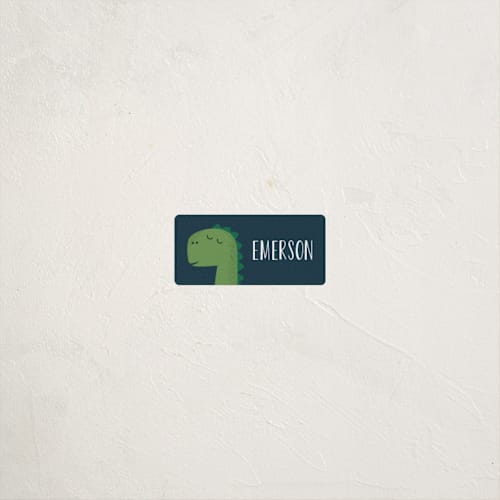 This is a treetop name labels with standard by Oma N. Ramkhelawan called dino-mite printing on waterproof sticker paper in sticker