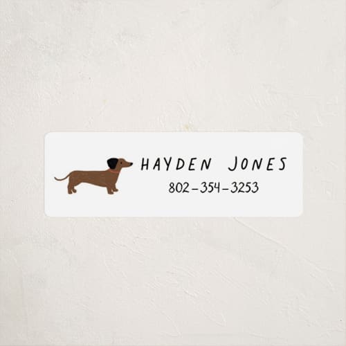 This is a tire name labels with standard by Laura Bercovich called dachshund pup printing on waterproof sticker paper in sticker