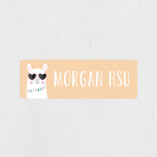 This is a peach name labels with standard by Angela Thompson called fun llama printing on waterproof sticker paper in sticker
