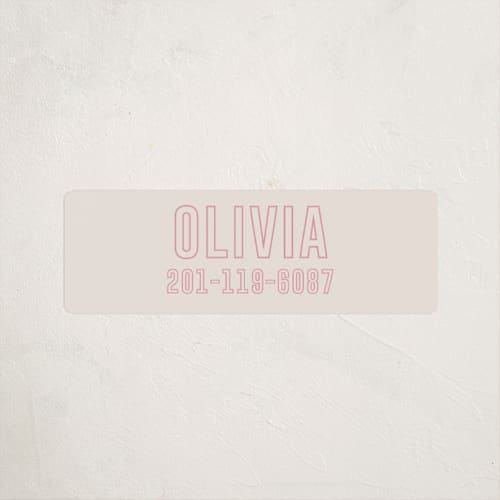 This is a flamingo name labels with standard by Ilene Guy called big name printing on waterproof sticker paper in sticker