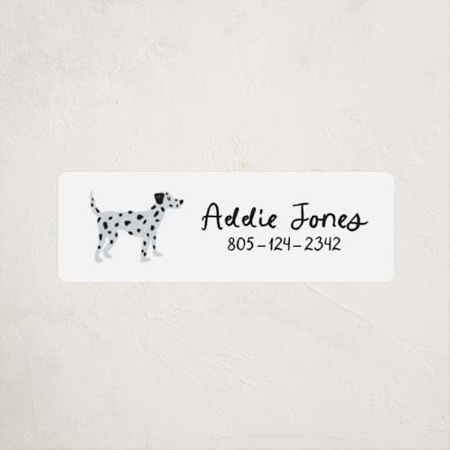 This is a tire name labels with standard by Laura Bercovich called dalmation pup printing on waterproof sticker paper in sticker