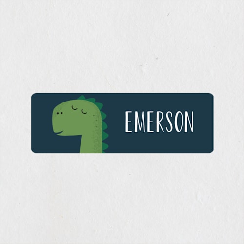 This is a treetop name labels with standard by Oma N. Ramkhelawan called dino-mite printing on waterproof sticker paper in sticker