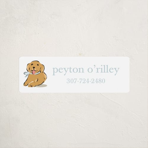 This is a bluebird name labels with standard by Susan Zinader called golden pup printing on waterproof sticker paper in sticker