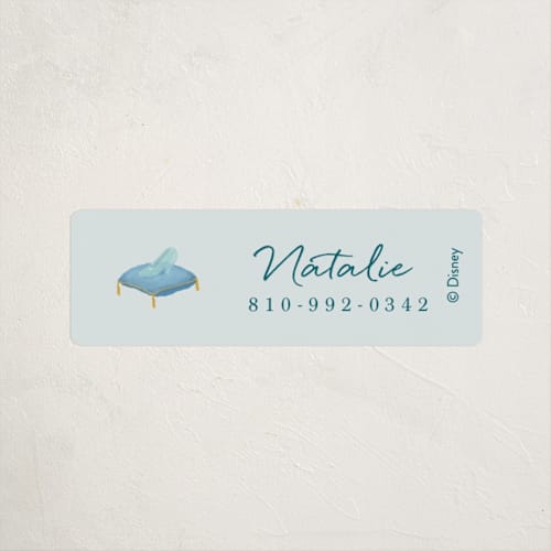 This is a lagoon name labels with standard by Susan Moyal called disney's cinderella fairytale printing on waterproof sticker paper in sticker