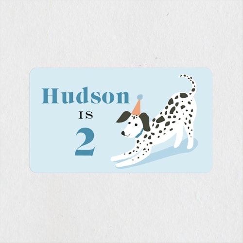 This is a sky kids stickers with standard by Karidy Walker called pawty time printing on uncoated sticker paper in sticker