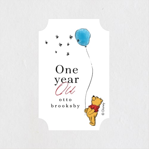 This is a hundred acre wood kids stickers with standard by Erin L. Wilson called disney's winnie the pooh many birthday adventures printing on uncoated sticker paper in sticker