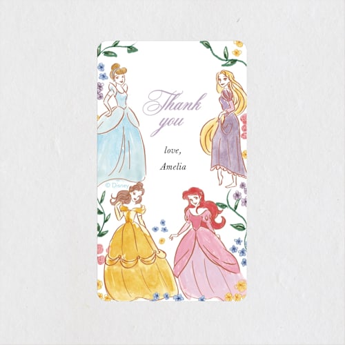 This is a buttercream kids stickers with standard by Cass Loh called disney princess garden party printing on uncoated sticker paper in sticker