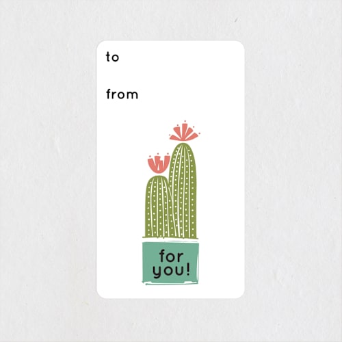 This is a tangerine custom stickers with standard by Rae Kaiser called cacti collection printing on uncoated sticker paper in sticker