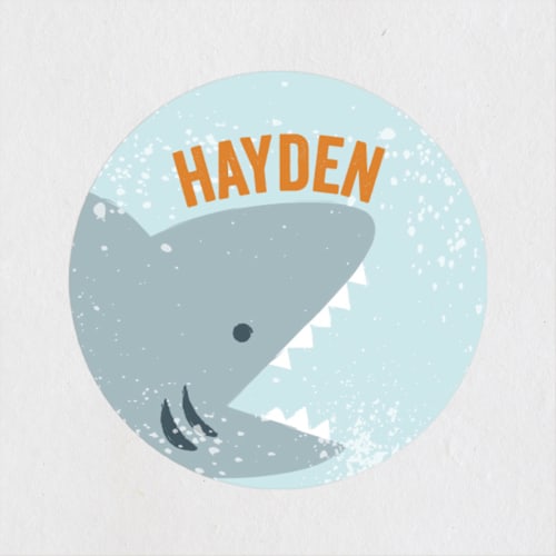 This is a citrus name labels with standard by Laura Hankins called jawsome printing on waterproof sticker paper in sticker