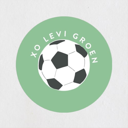 This is a mint custom stickers with standard by Alethea and Ruth called soccer team printing on uncoated sticker paper in sticker