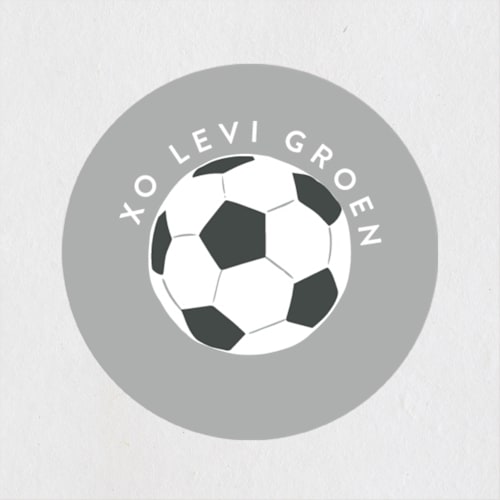 This is a steel custom stickers with standard by Alethea and Ruth called soccer team printing on uncoated sticker paper in sticker