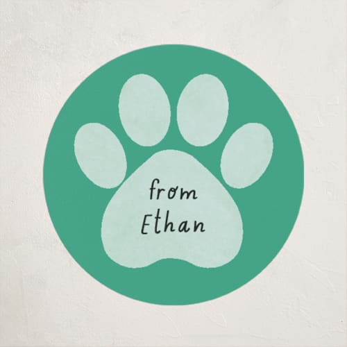 This is a seafoam custom stickers with standard by Randi Cirelli called pawsitively awesome printing on uncoated sticker paper in sticker