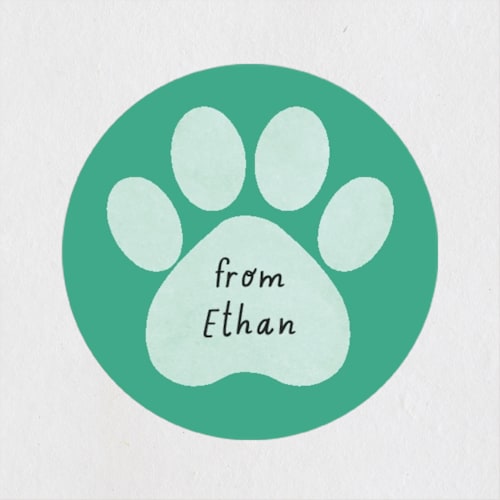 This is a seafoam custom stickers with standard by Randi Cirelli called pawsitively awesome printing on uncoated sticker paper in sticker