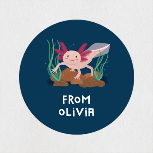 This is a fresh water custom stickers with standard by Erica Krystek called a'lotl printing on uncoated sticker paper in sticker