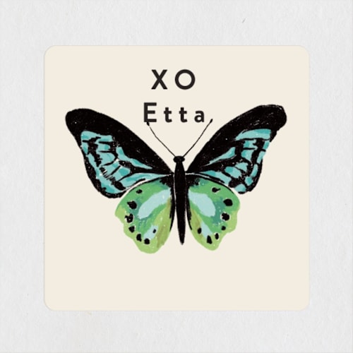 This is a daisy custom stickers with standard by Alethea and Ruth called one of a kind butterfly printing on uncoated sticker paper in sticker