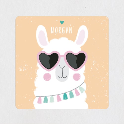 This is a peach name labels with standard by Angela Thompson called fun llama printing on waterproof sticker paper in sticker